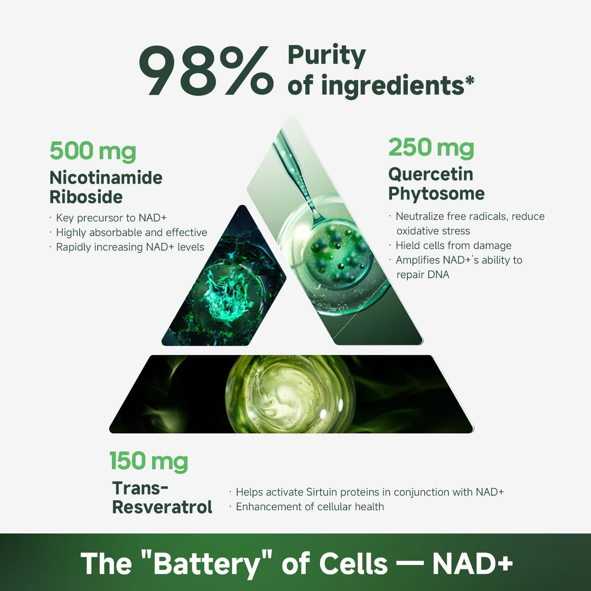 NR900 Supplement - Liposomal Nicotinamide Riboside, Resveratrol, Quercetin by Quitmood- High Purity NAD Supplement for Ski