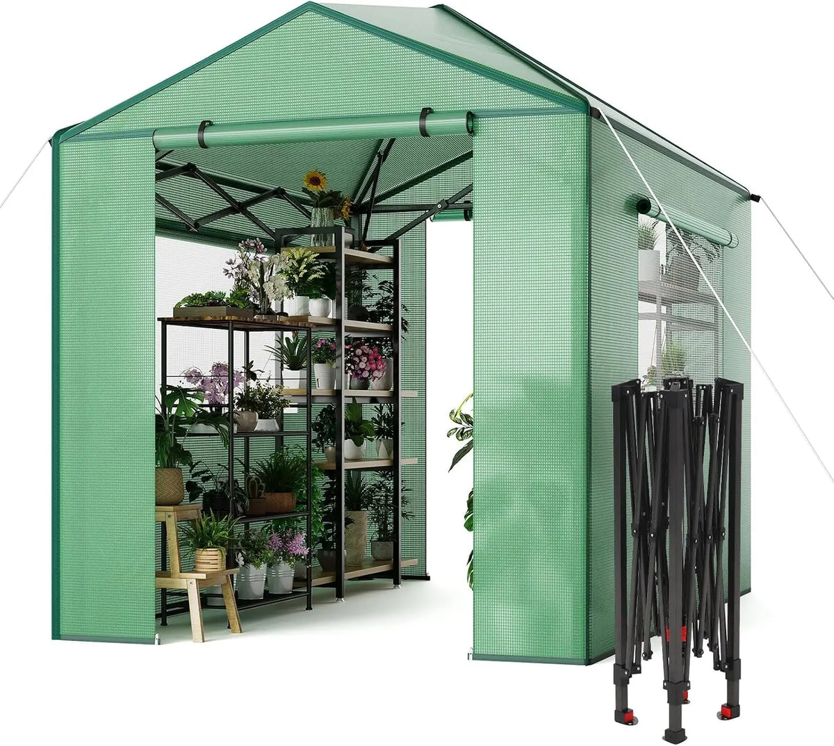 Tacleekii 6X8FT 8X12FT Walk-in Greenhouse Portable Plant Shelter with Heavy-Duty PE Cover Galvanized Steel Frame Zippered Roll-Up Doors & Mesh Windows for Outdoor and Indoor Gardening