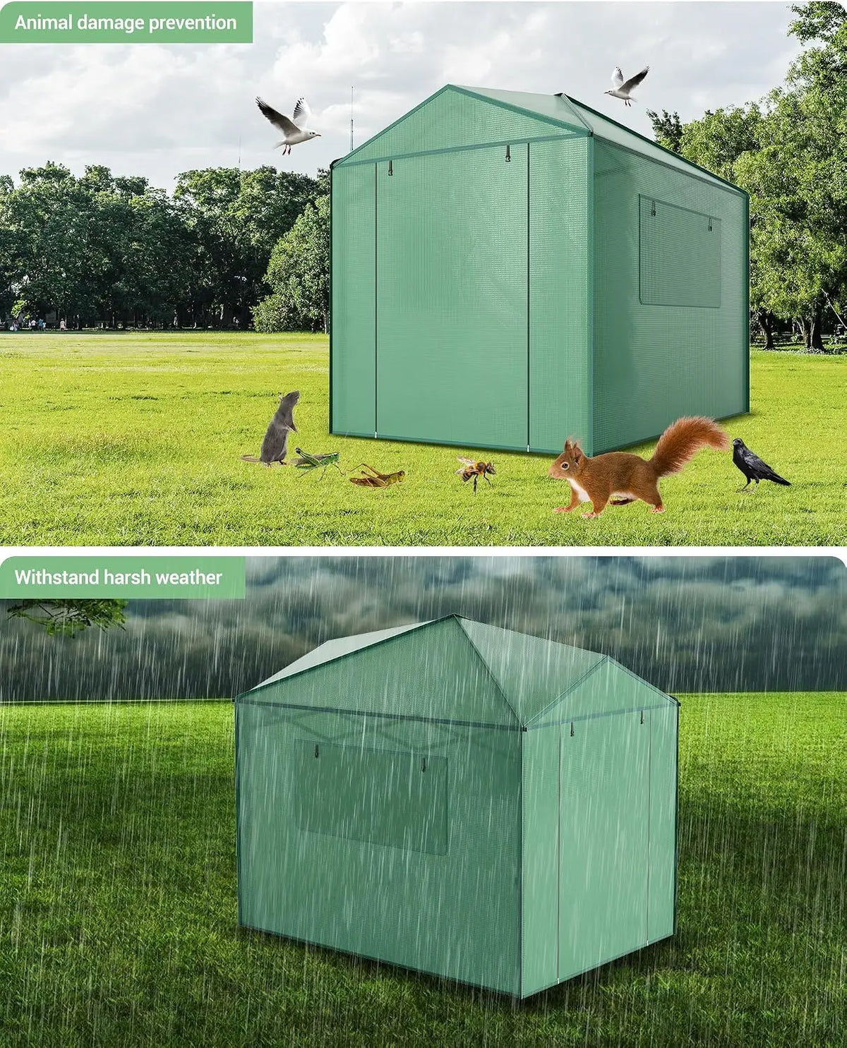 Tacleekii 6X8FT 8X12FT Walk-in Greenhouse Portable Plant Shelter with Heavy-Duty PE Cover Galvanized Steel Frame Zippered Roll-Up Doors & Mesh Windows for Outdoor and Indoor Gardening